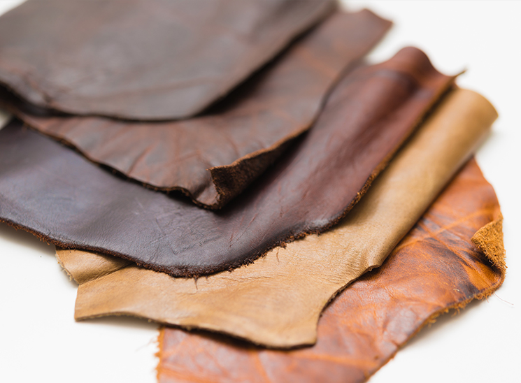 命を、カタチに。