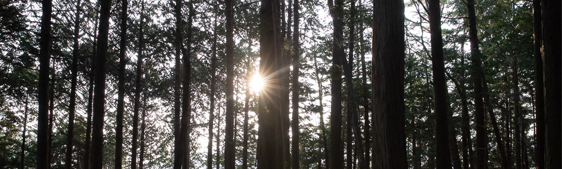 キービジュアル