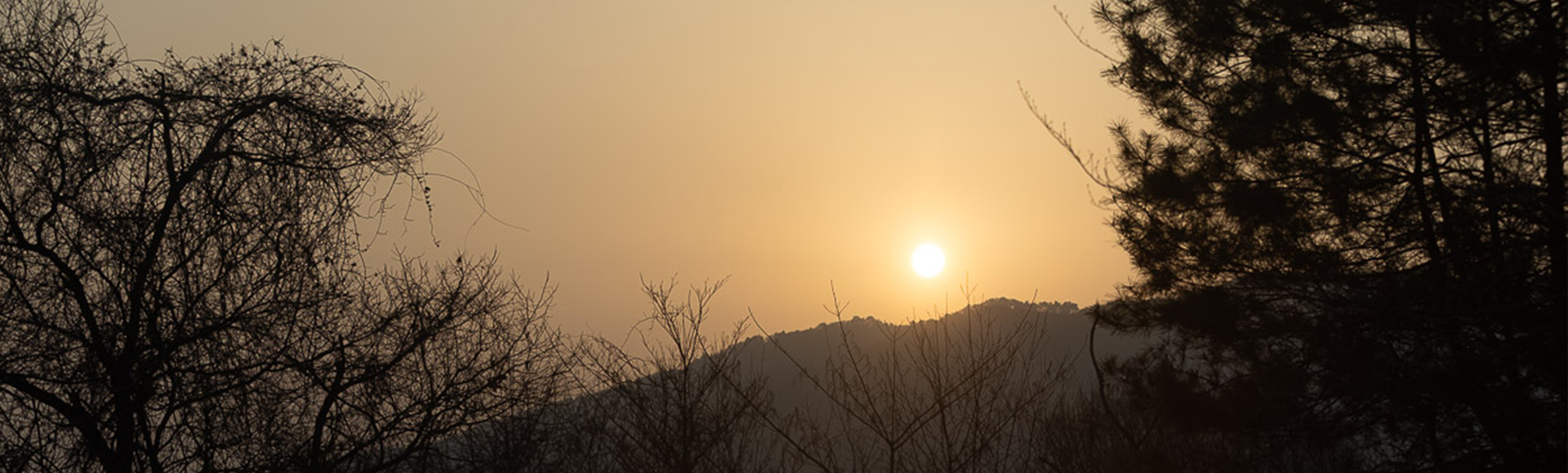 キービジュアル