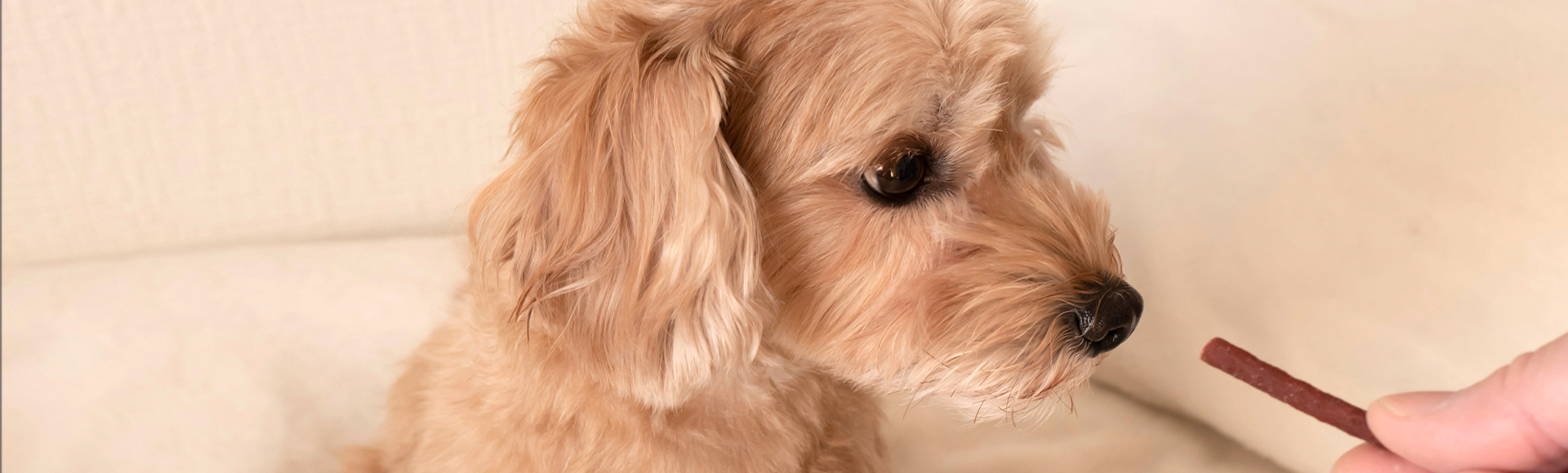 キービジュアル