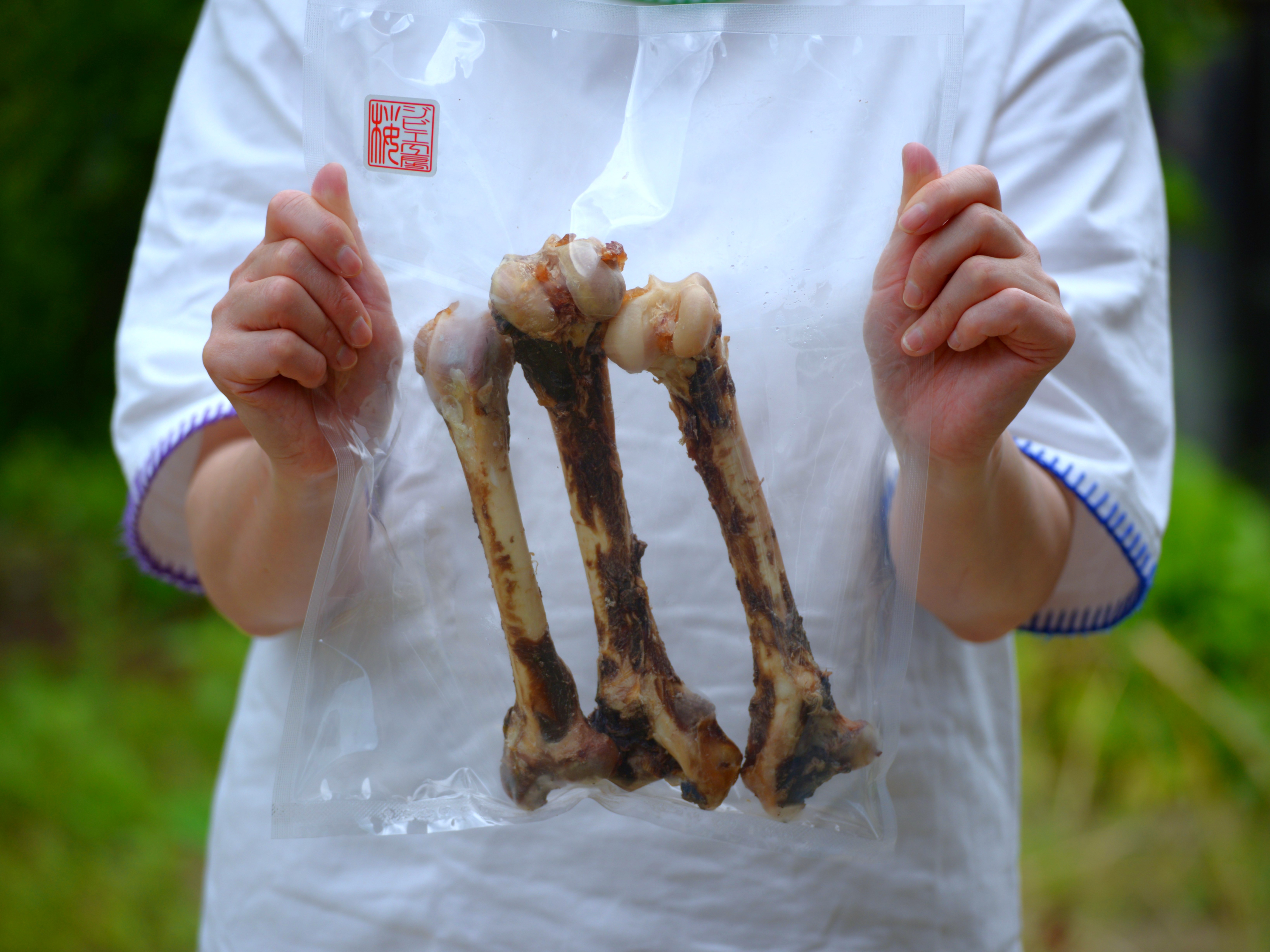 採用　大腿骨1.JPG